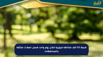 ضبط 53 ألف مخالفة مرورية خلال يوم واحد ضمن حملات مكثفة بالمحافظات